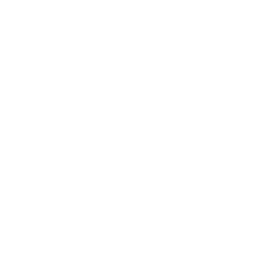 Analysis of needs and correlation with main development opportunities